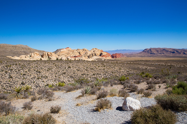 Red Rock Canyon   Nevada Canon 8742 Print