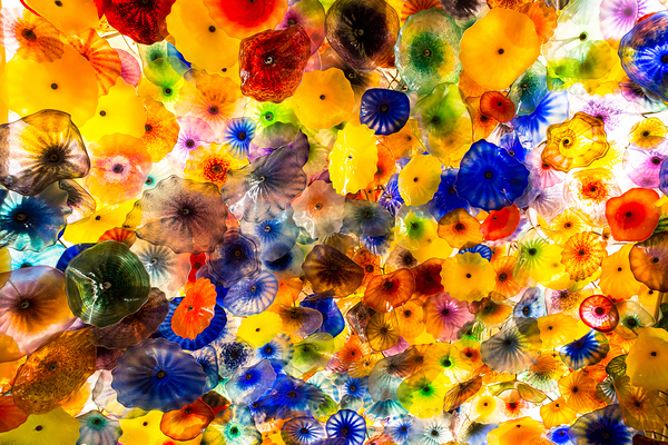 The Bellagio   Las Vegas NV 9140 Print