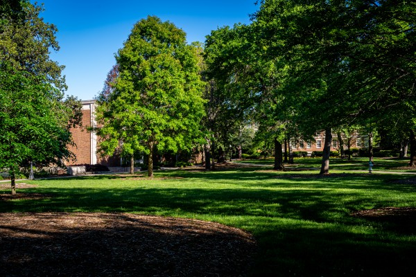 University of Georgia   Athens GA 06328 Print