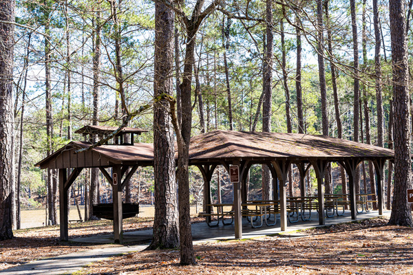 Mistletoe State Park   Appling GA 4701 by Sanjeev Singhal