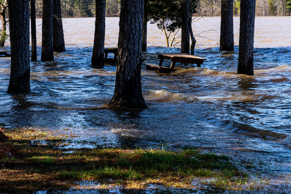 Mistletoe State Park   Appling GA 4769 by Sanjeev Singhal