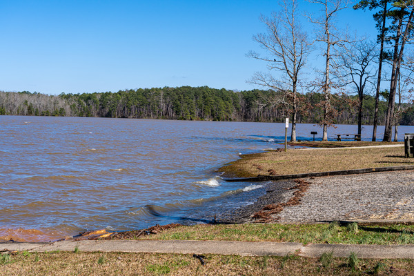 Mistletoe State Park   Appling GA 4772 by Sanjeev Singhal