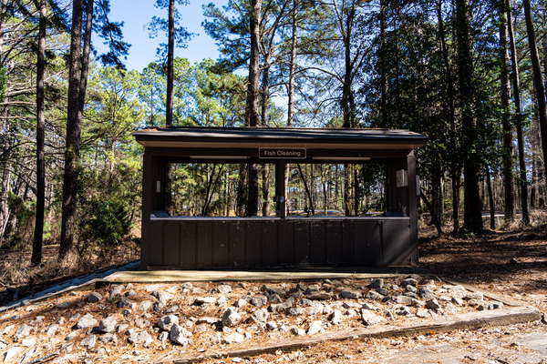 Mistletoe State Park   Appling GA 4775 by Sanjeev Singhal