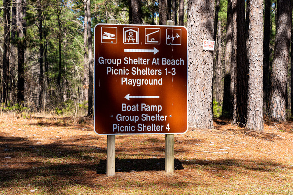 Mistletoe State Park   Appling GA 4782 by Sanjeev Singhal