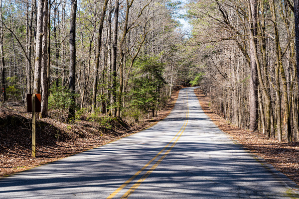 Mistletoe State Park   Appling GA 4784 by Sanjeev Singhal