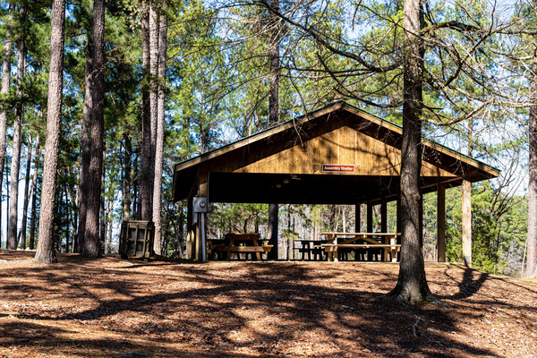 Mistletoe State Park   Appling GA 4789 by Sanjeev Singhal