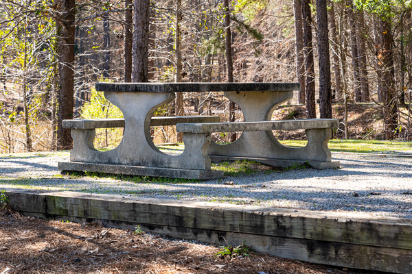 Mistletoe State Park   Appling GA 4801 by Sanjeev Singhal