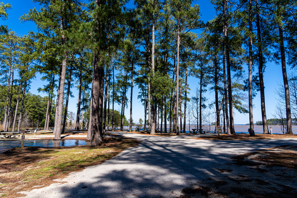 Mistletoe State Park   Appling GA 4805 by Sanjeev Singhal