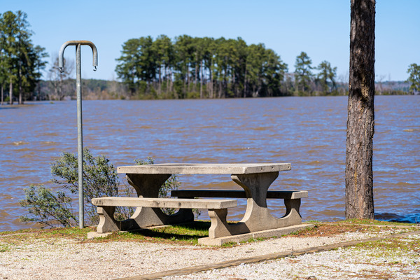 Mistletoe State Park   Appling GA 4854 by Sanjeev Singhal