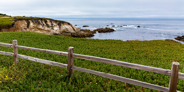 Monterey Peninsula by Sanjeev Singhal