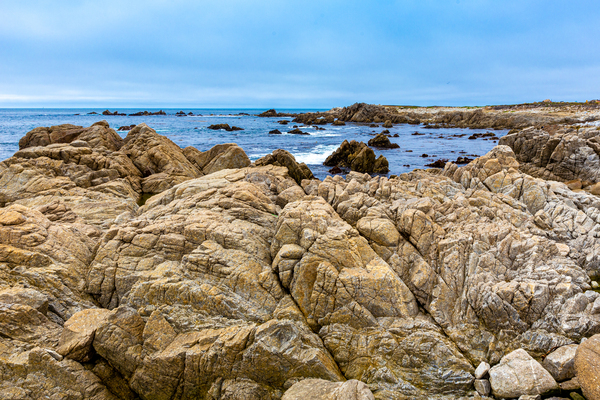 Monterey Peninsula 1365 by Sanjeev Singhal
