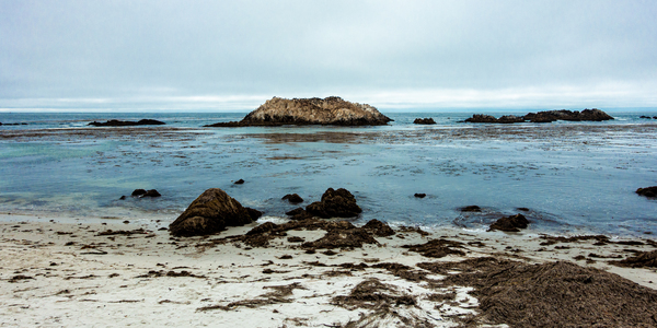 Monterey Peninsula 8761 by Sanjeev Singhal