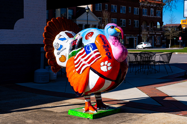 Turkey Statue   Johnston SC 08047 by Sanjeev Singhal