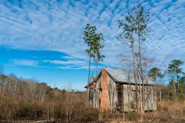 Abandoned House in Columbia County GA 0640 Print