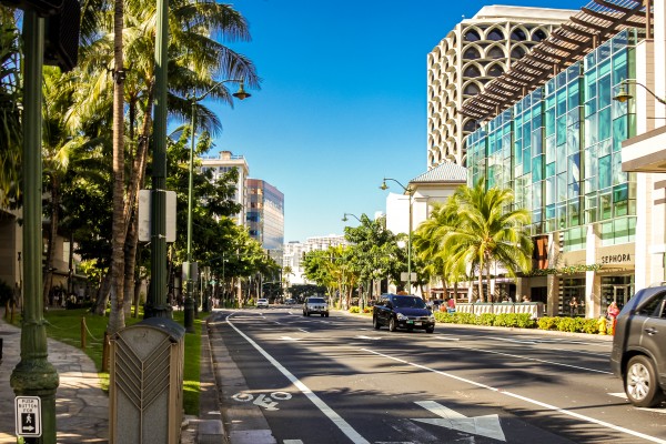 Waikiki   Oahu Hawaii 08358 Print