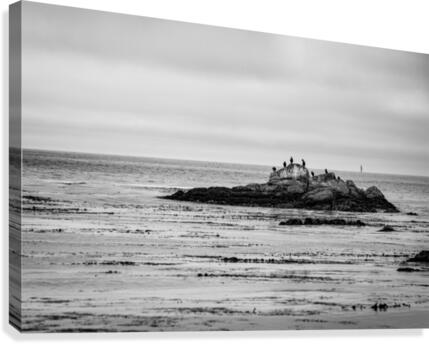 Monterey Peninsula 1399 Canvas Print