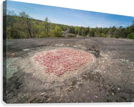Heggies Rock Preserve in Columbia County GA 3543  Canvas Print