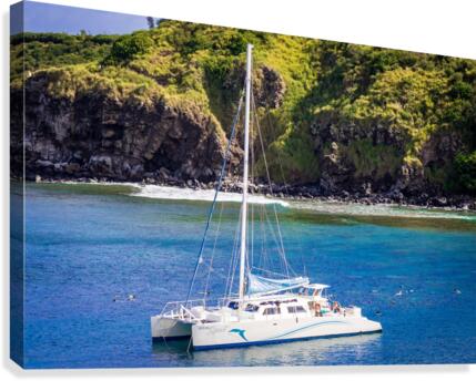 Honolua Bay   Maui Hawaii 1327 Canvas Print