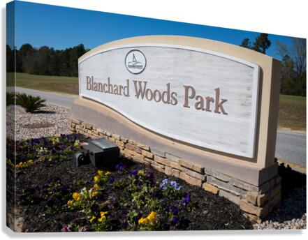 Blanchard Woods Park   Evans GA 9479 Canvas Print