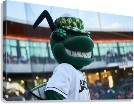 Auggie Mascot for the Augusta GreenJackets   Nort 1675611046.3064 Canvas Print