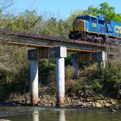 CSX Train at Aqueduct Park   Augusta GA SA108008.