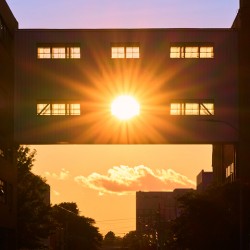 Ellis Street Sunset   Augusta GA SA109518