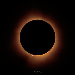 Eclipse phase 2