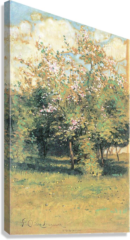 Blooming Trees Canvas Print