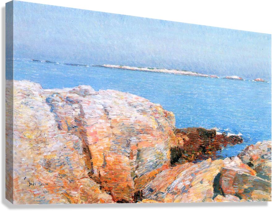 Duck island Canvas Print