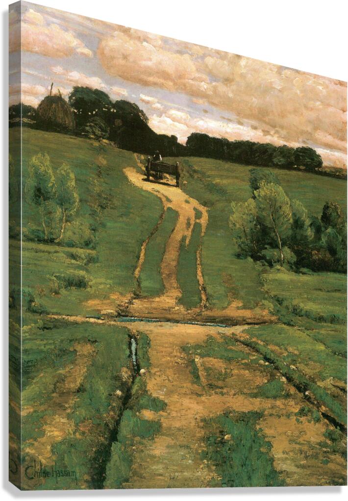 Open land Canvas Print