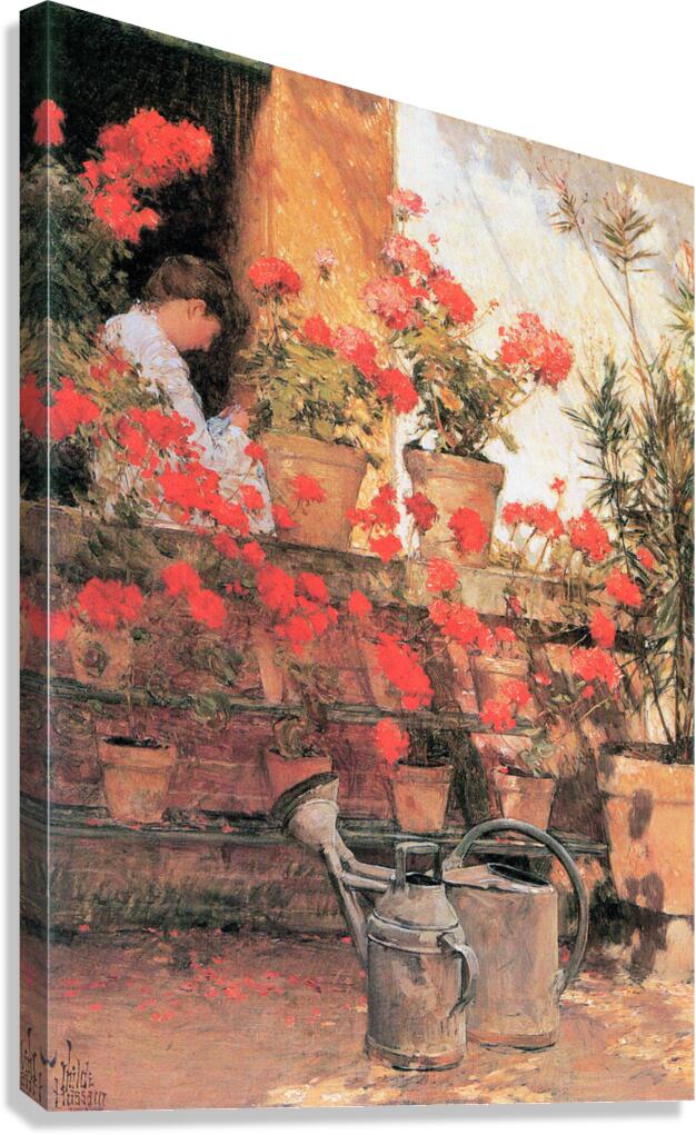 Red Geraniums Canvas Print