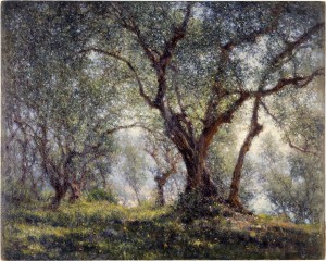 Les oliviers a Menton