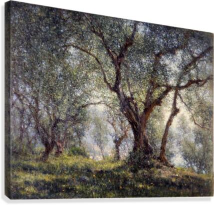 Les oliviers a Menton Canvas Print