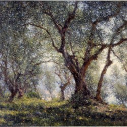 Les oliviers a Menton