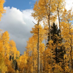 County Rd. 7