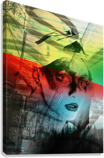 Dissuade Canvas Print