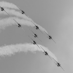 Snowbirds Loop B&W