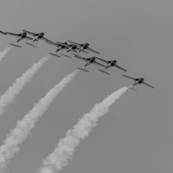 Inverted Snowbirds B&W