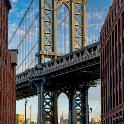 Dumbo View