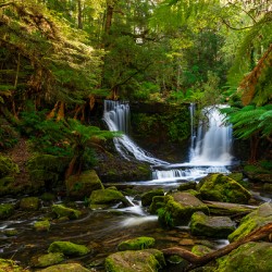 Horseshoe Falls – Tasmanian Green