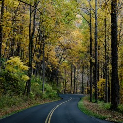 Autumn Drive