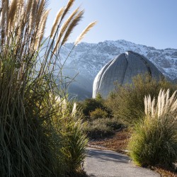 Bahai Temple