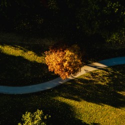 Winding path in autumn