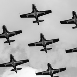Snowbirds flyover