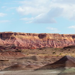 Arizona Landscape