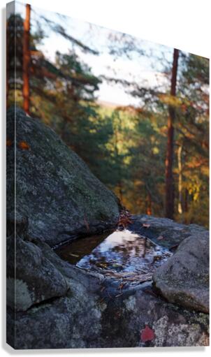Mineral Canvas Print