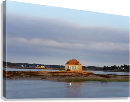 Cado Canvas Print