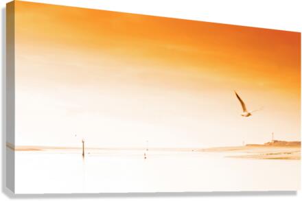 Barre dEtel Canvas Print