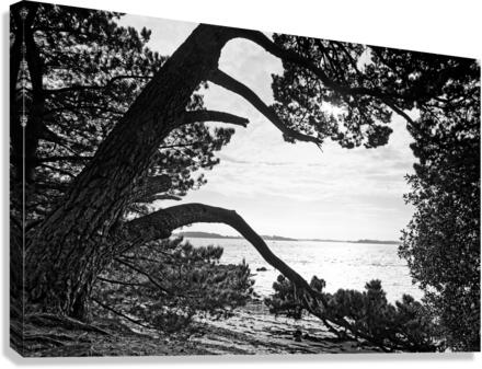 Ile Berder Canvas Print