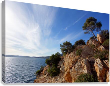 Pine and Rocks Canvas Print